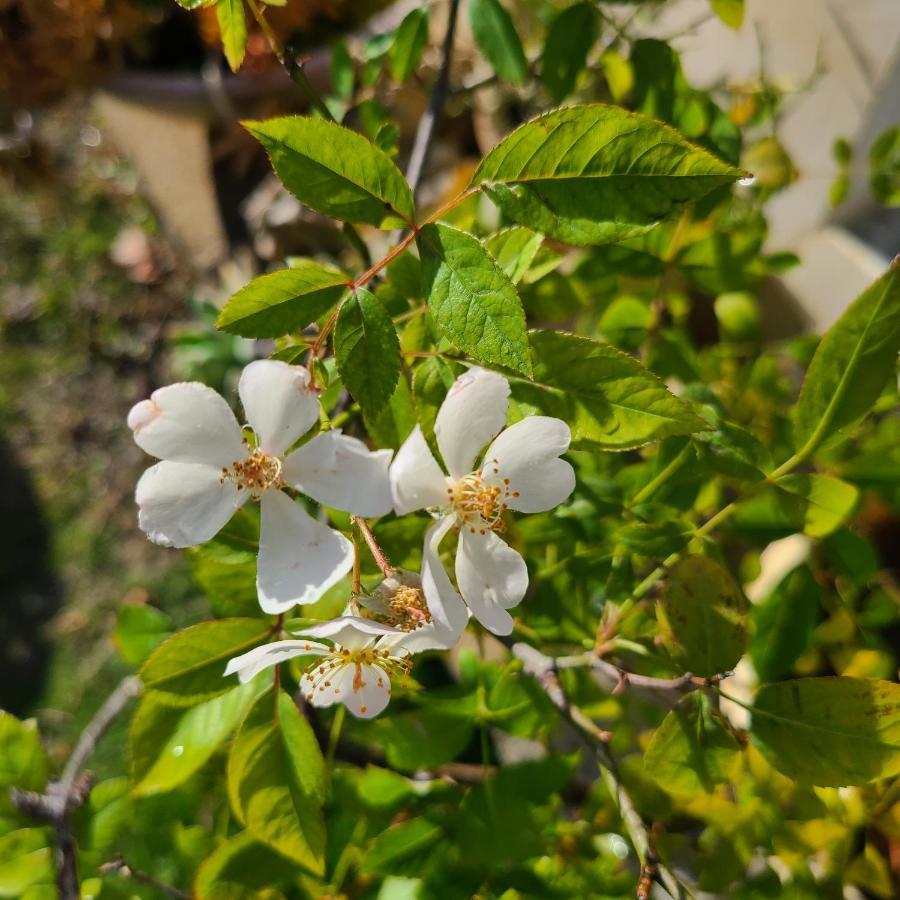 白砂灣藍海之丘blue Ocean Hill Acomodação com café da manhã Heng-ch'un Exterior foto
