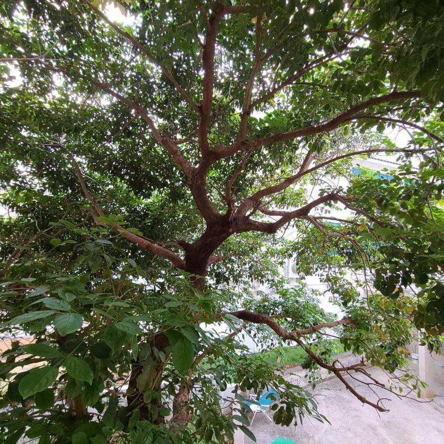 白砂灣藍海之丘blue Ocean Hill Acomodação com café da manhã Heng-ch'un Exterior foto